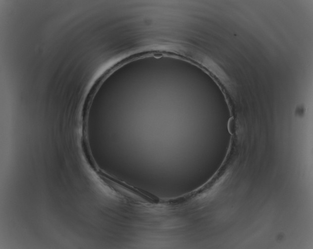 X0000094901028200712131426