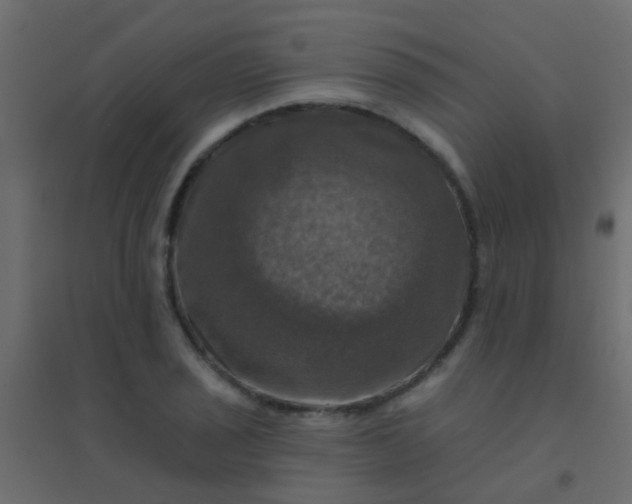 X0000094901029200712131426