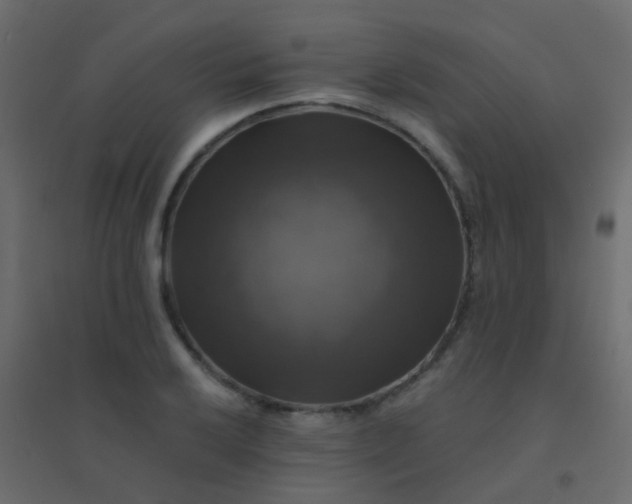X0000094901032200712131426