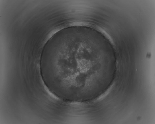 X0000094901033200712131426