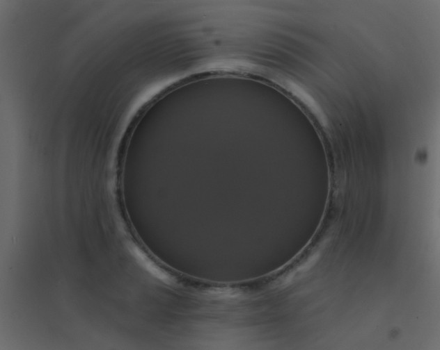 X0000094901037200712131426