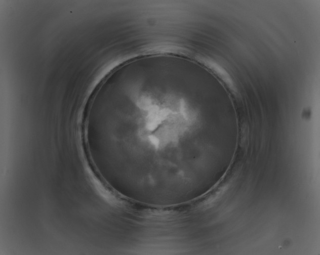 X0000094901039200712131426