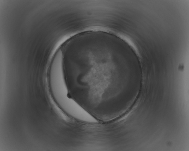 X0000094901040200712131426