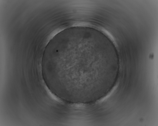 X0000094901041200712131426