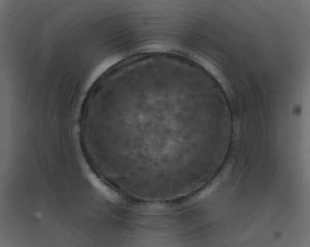 X0000094901042200712131426