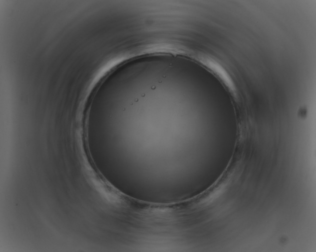 X0000094901043200712131426