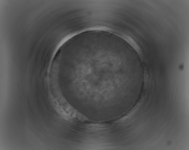 X0000094901044200712131426