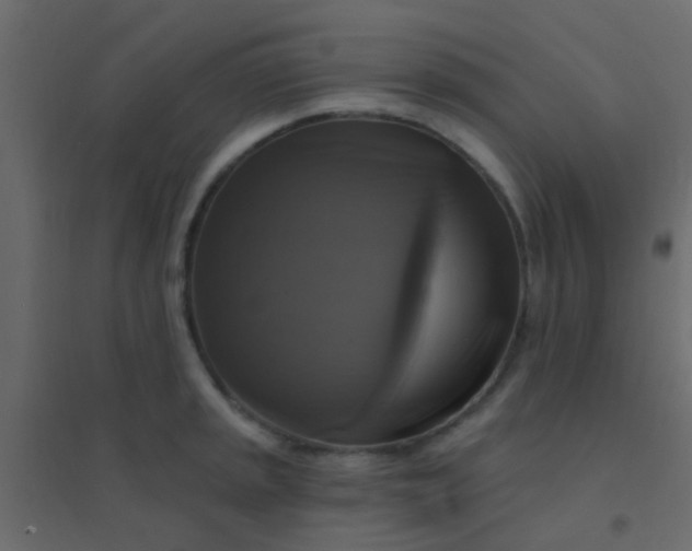 X0000094901045200712131426