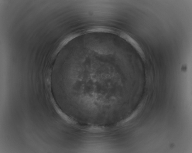 X0000094901049200712131426