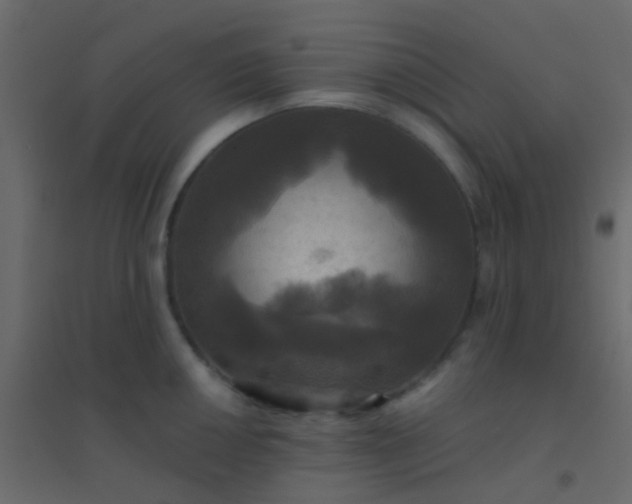 X0000094901050200712131426