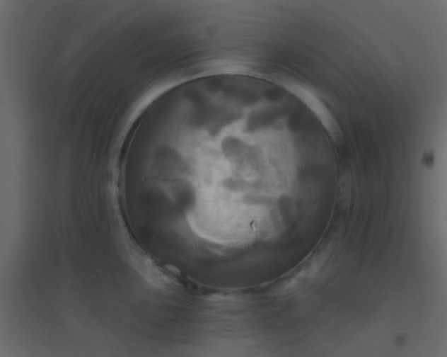 X0000094901051200712131426