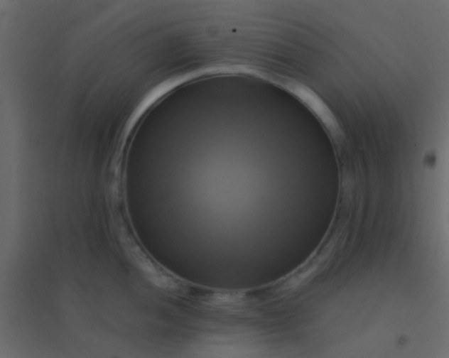 X0000094901052200712131426