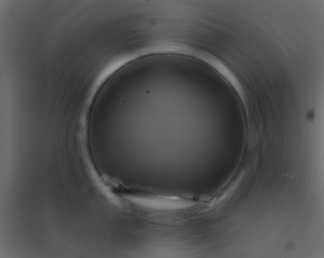 X0000094901053200712131426