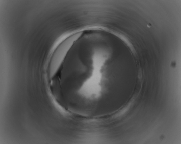 X0000094901054200712131426