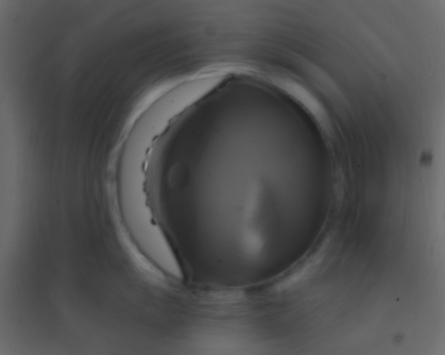 X0000094901055200712131426