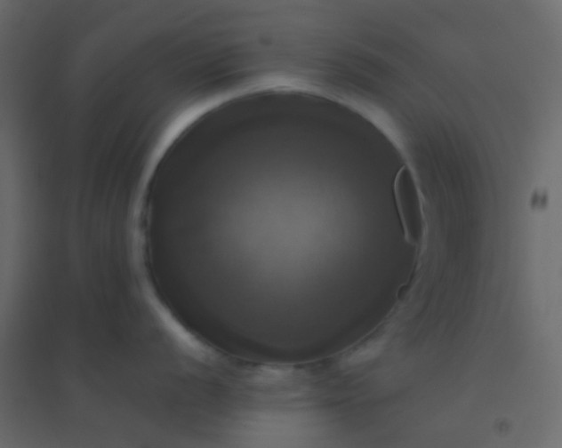 X0000094901056200712131426