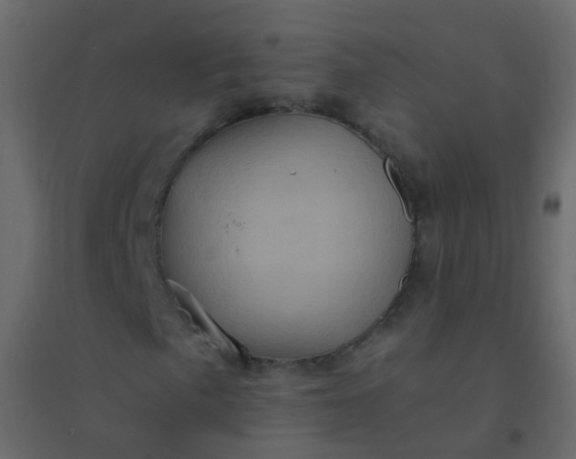 X0000094901057200712131426