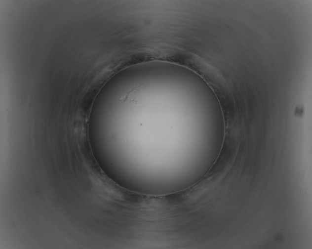 X0000094901058200712131426