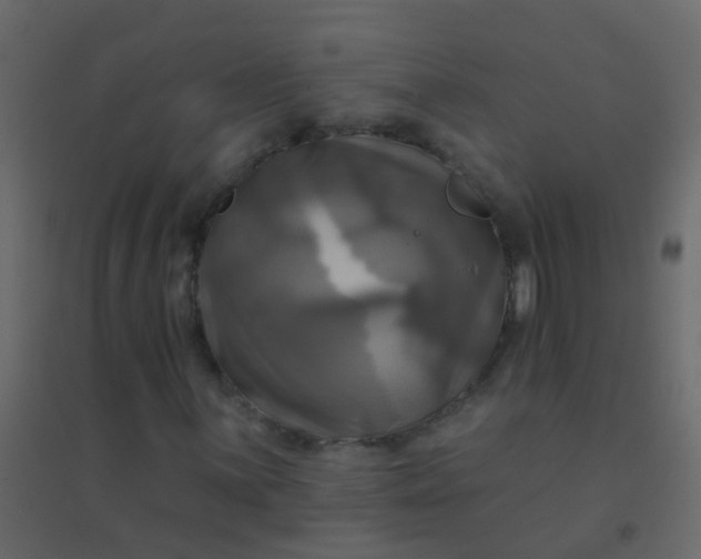 X0000094901059200712131426