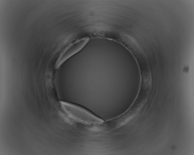 X0000094901060200712131425