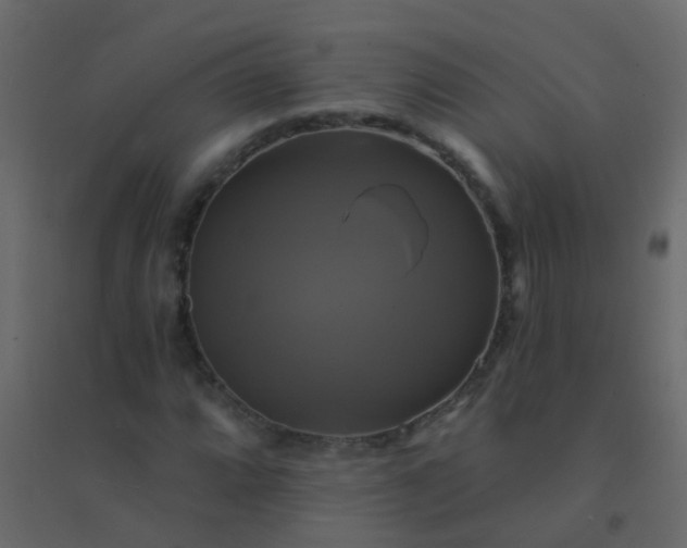 X0000094901064200712131425