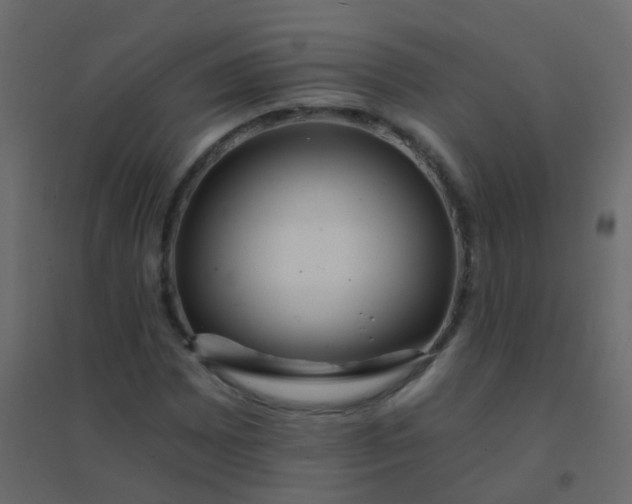 X0000094901065200712131425