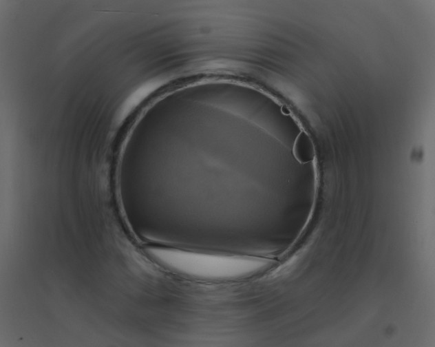 X0000094901066200712131425