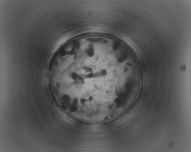 X0000094901067200712131425