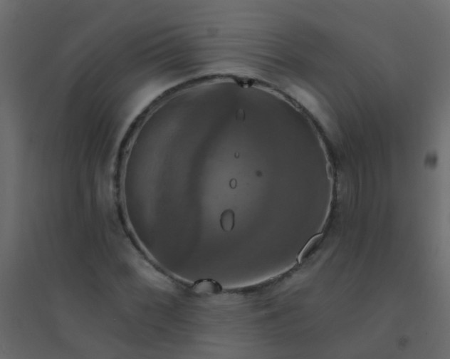 X0000094901068200712131425