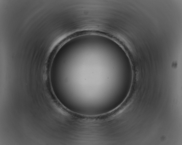 X0000094901069200712131425