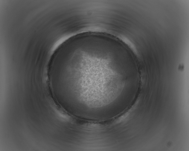 X0000094901070200712131425