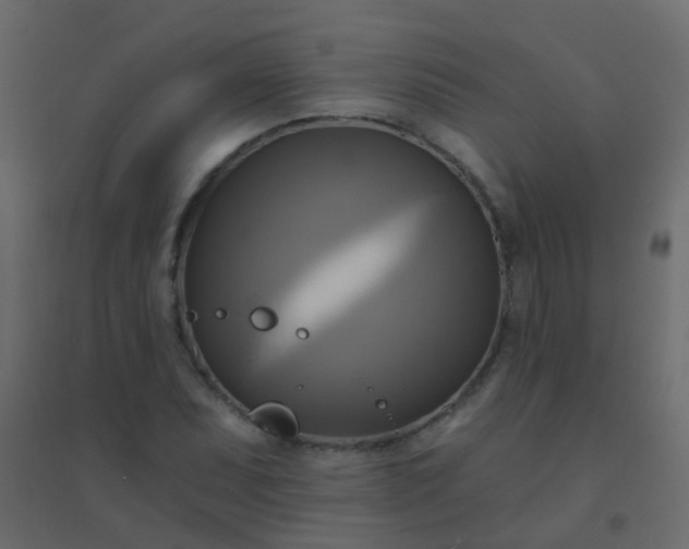X0000094901071200712131425