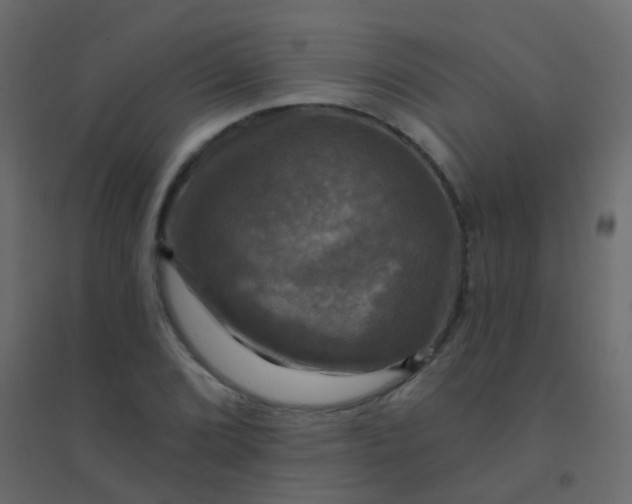 X0000094901072200712131425