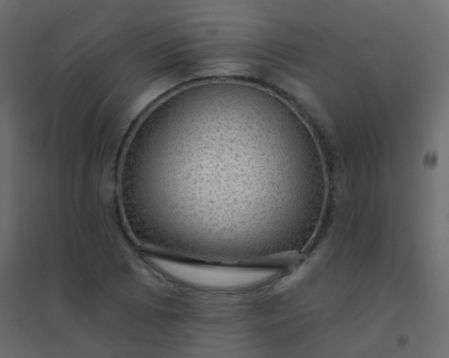 X0000094901073200712131425