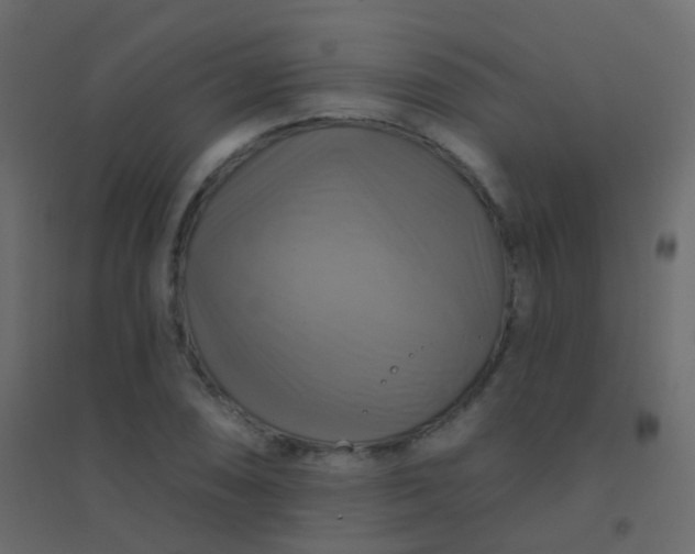X0000094901074200712131425