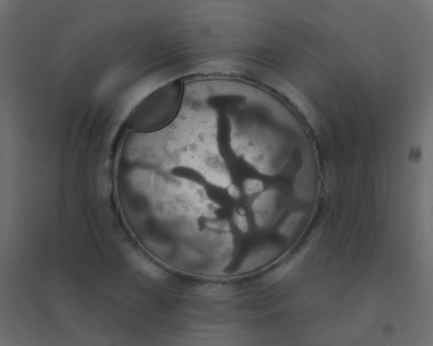 X0000094901075200712131425