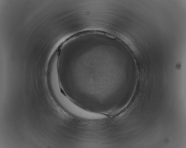 X0000094901076200712131425