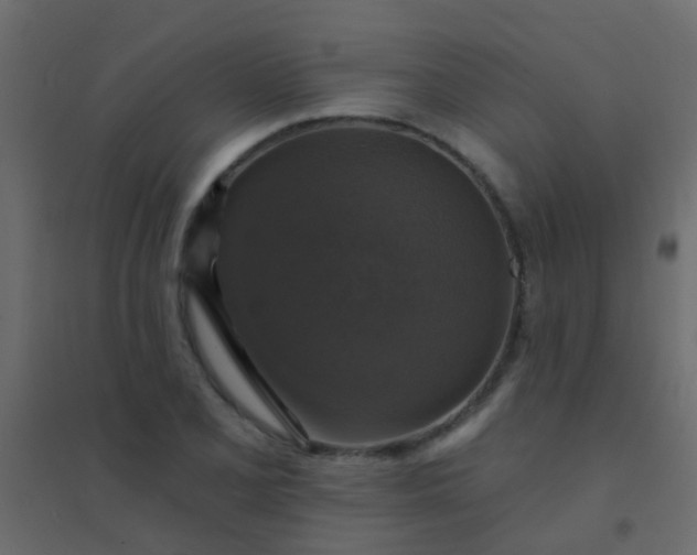 X0000094901077200712131425