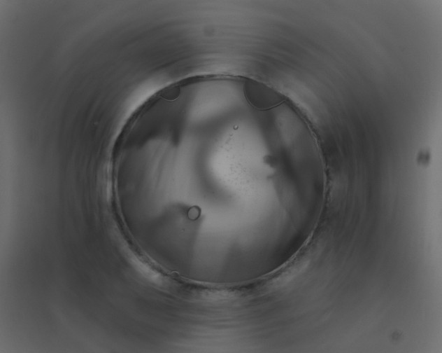 X0000094901079200712131425