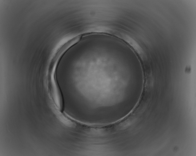 X0000094901080200712131425