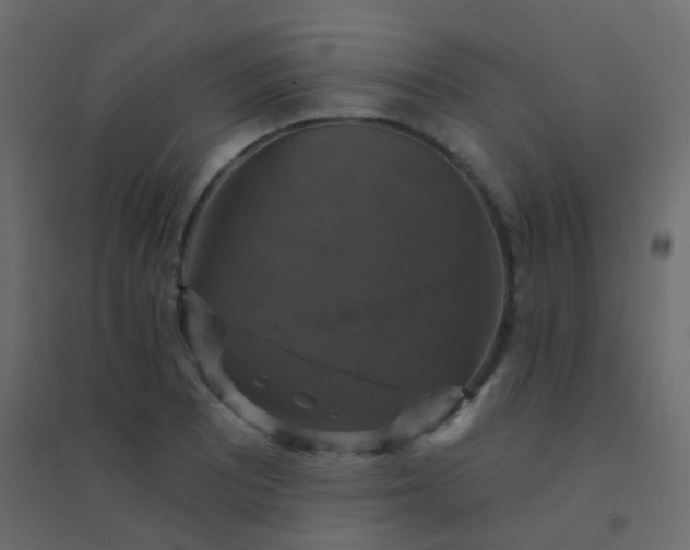 X0000094901081200712131425