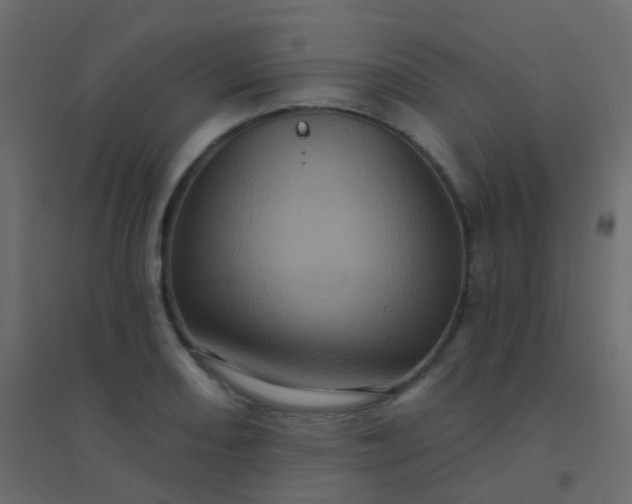 X0000094901082200712131425