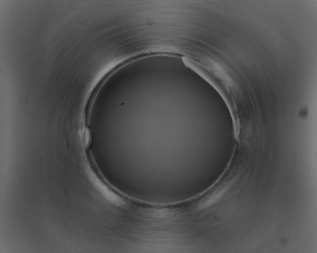 X0000094901084200712131425