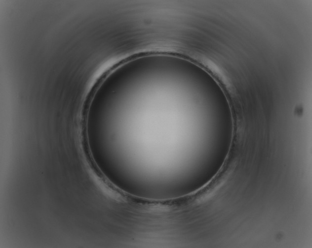 X0000094901085200712131425