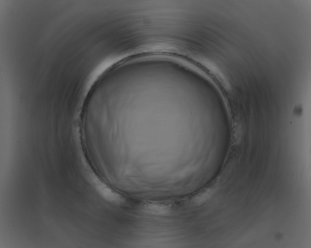 X0000094901086200712131425
