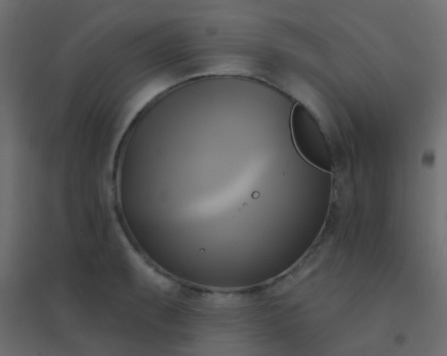 X0000094901087200712131425
