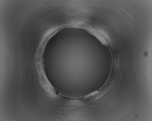 X0000094901088200712131425