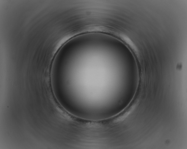 X0000094901089200712131425