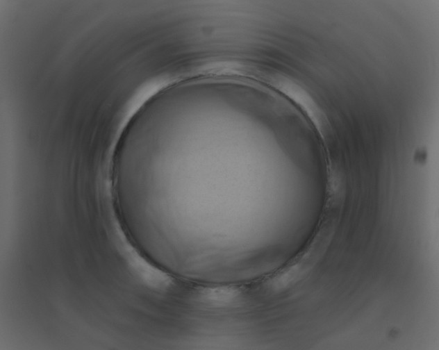 X0000094901090200712131425