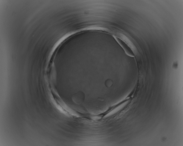 X0000094901092200712131425